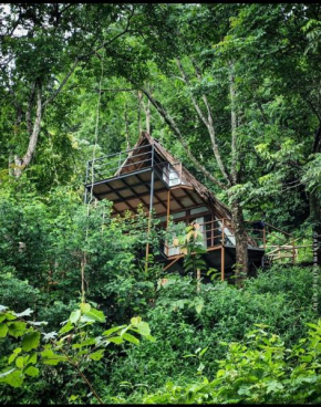 Sunset Valley Kerala Pool Resort - Serene Natural Forest Cottage Stay in Idukki with Sunrise & Sunset Panoramas, Natural Streams & Tranquil Summer Evenings